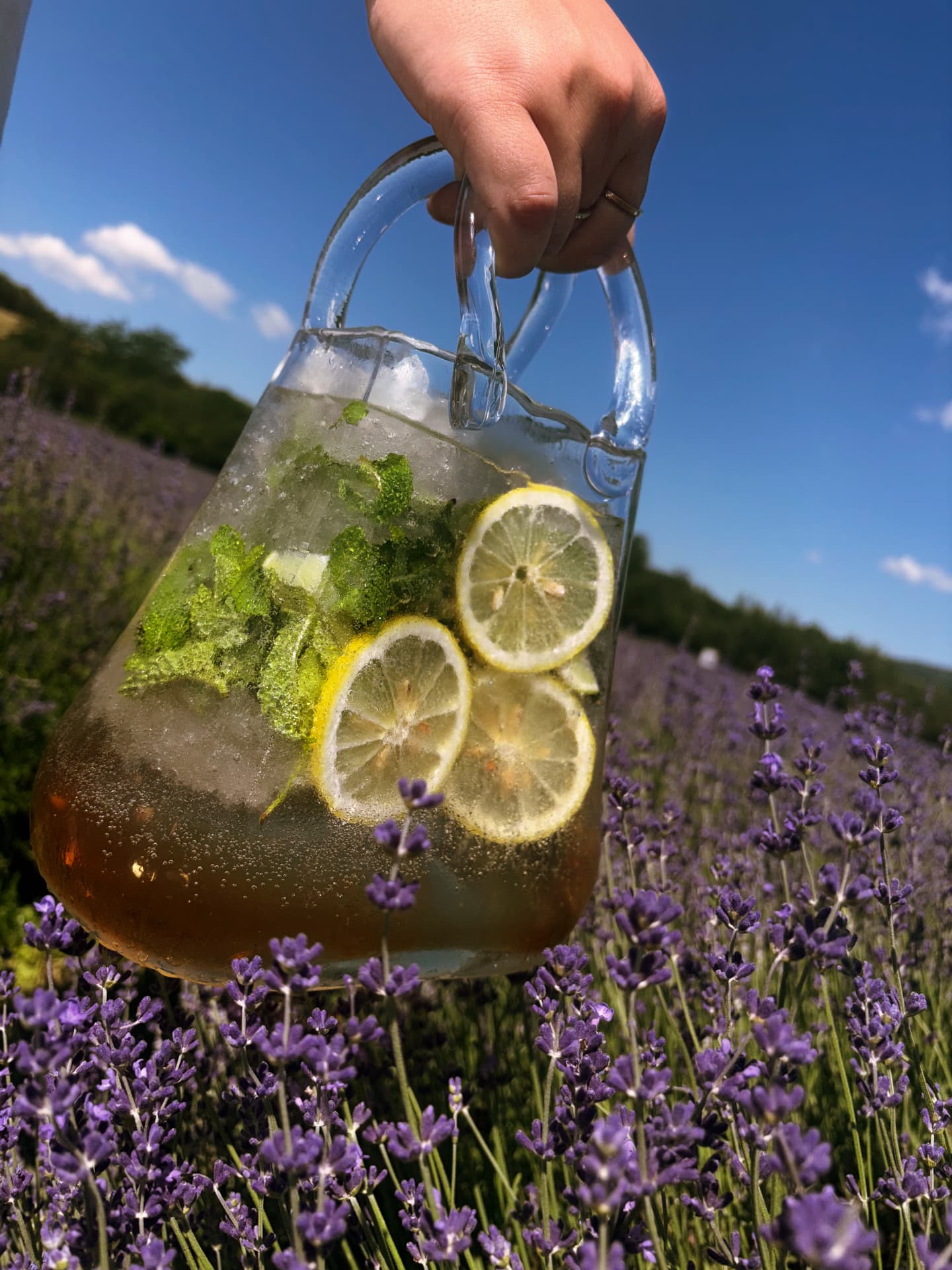 Domácí limonáda v levandulovém poli